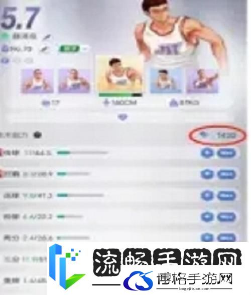我的球场新手入门攻略