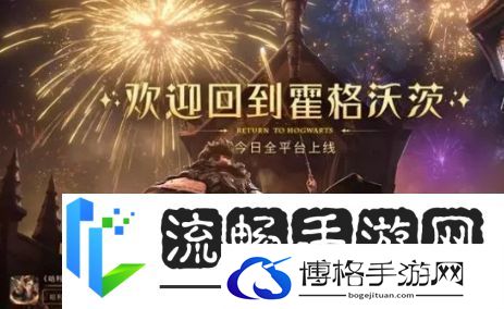 哈利波特魔法觉醒针对龙蛋流怎么配