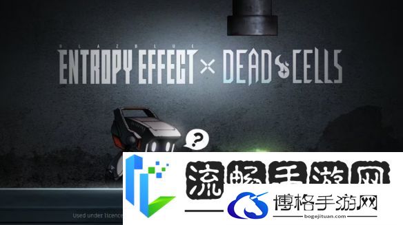 双厨狂喜!苍翼