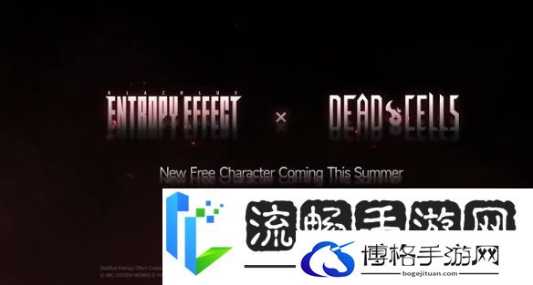 双厨狂喜!苍翼