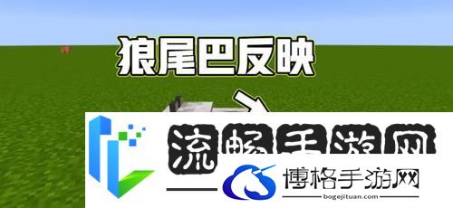 我的世界新版本驯狼秘籍与养狼全攻略