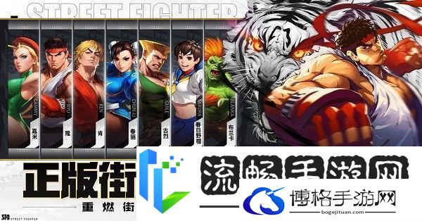街霸对决最强阵容山队怎么搭配