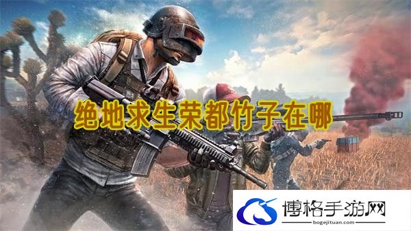 绝地求生荣都竹子在哪-单人副本的最佳策略
