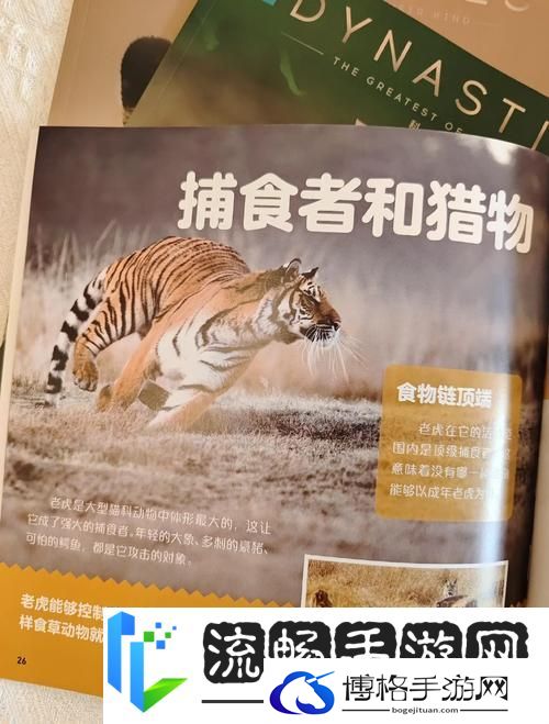 流放之路奇遇