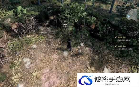 古龙风云录第一章全收集攻略 古龙风云录第一章全收集指南
