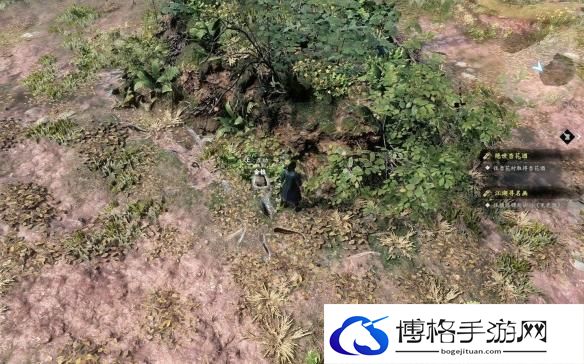 古龙风云录第一章全收集攻略 古龙风云录第一章全收集指南