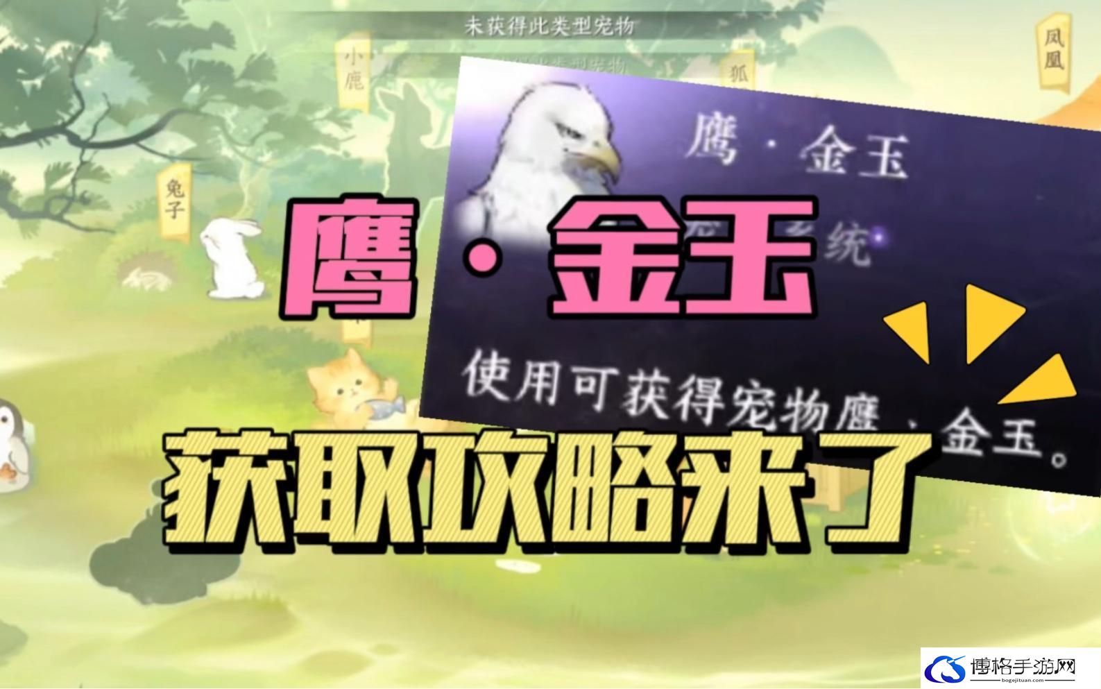 逆水寒手游鹰金玉怎么获得