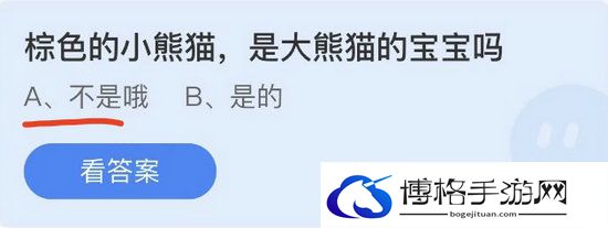 蚂蚁庄园：棕色的小熊猫是大熊猫的宝宝吗-竞技之巅攻略