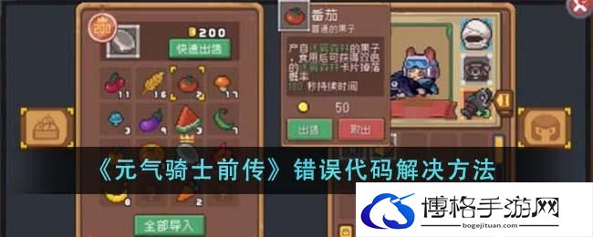 《元气骑士前传》错误代码解决方法