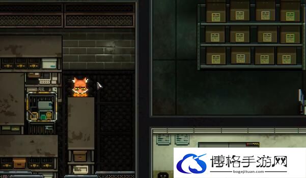 动物迷城光盘怎么拿-地图探险隐藏宝藏