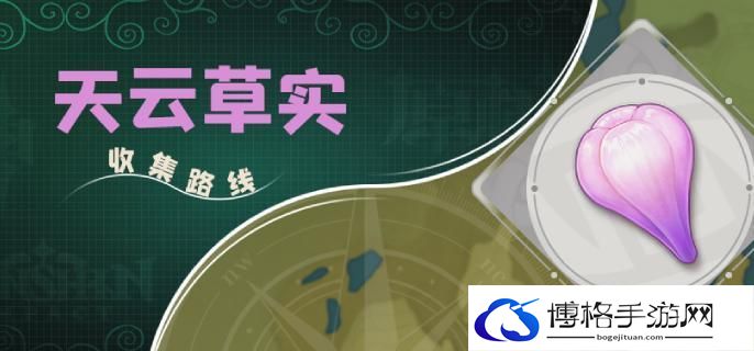 原神4.3天云草实如何快速采集-天云草实采集路线攻略图一