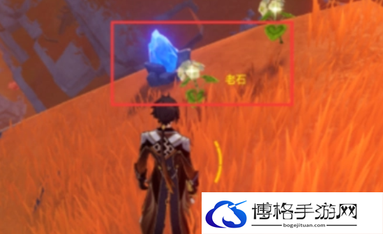 原神老石位置详情分享