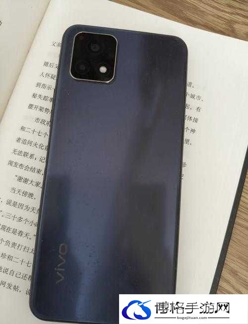 高质量一级成色好的 y31s 标准版评测：全方位深度解析其卓越表现