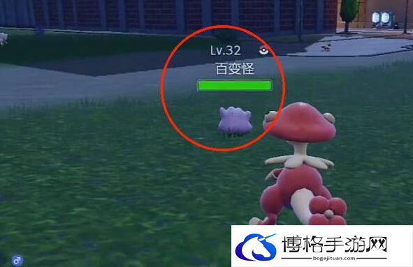 宝可梦朱紫百变怪抓捕位置介绍