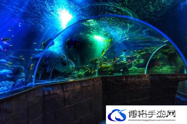 六安海洋大世界门票多少钱一张2024