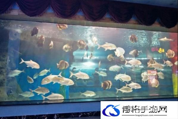 六安海洋大世界门票多少钱一张2024