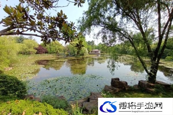 合肥植物园12月有什么花