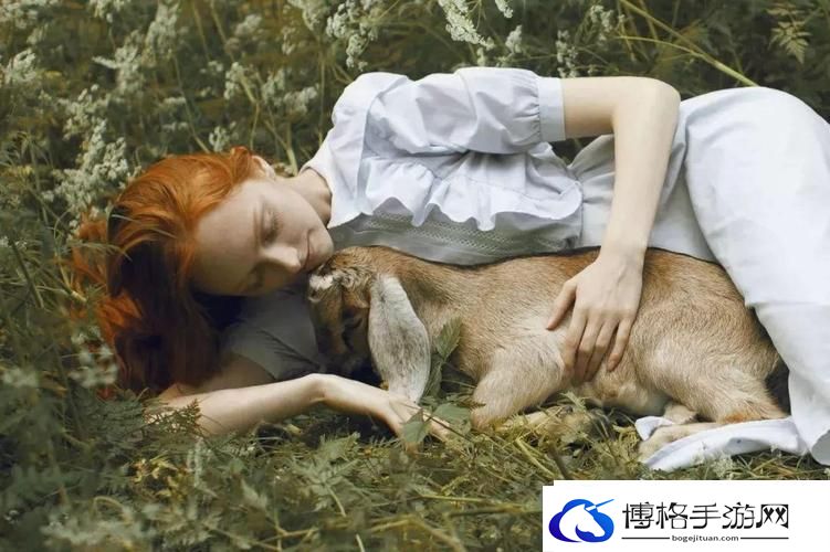 人与畜禽共性关系美国