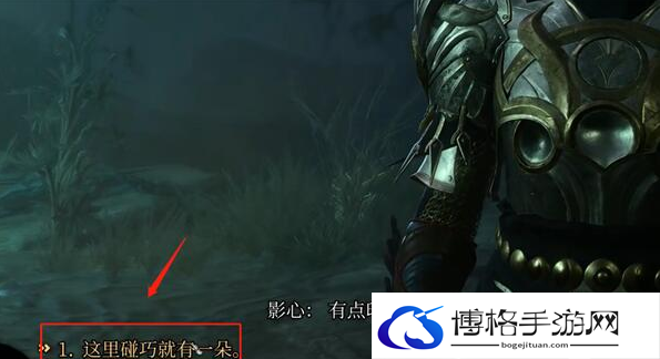 博德之门3暗夜之花成就攻略