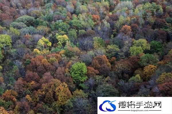 香炉山国家森林公园门票多少钱