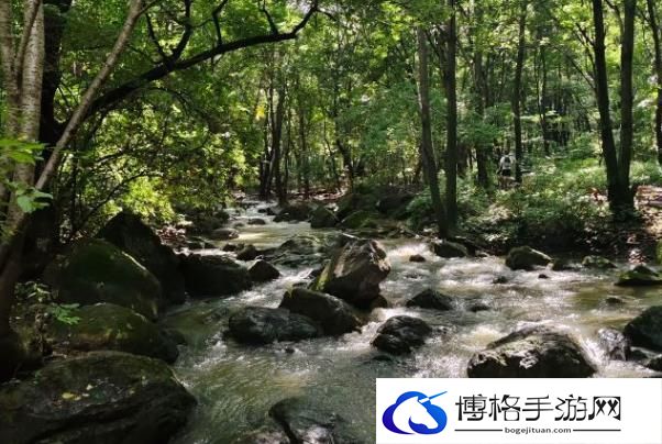 香炉山国家森林公园门票多少钱