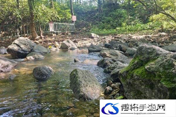 2024香炉山国家森林公园门票多少钱