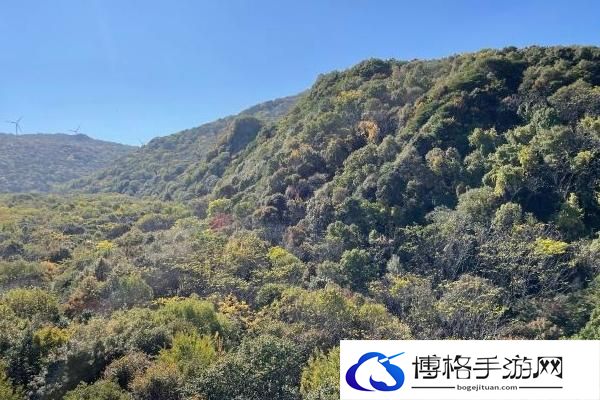 2024香炉山国家森林公园门票多少钱