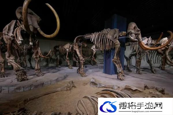 大庆博物馆需要预约吗2024