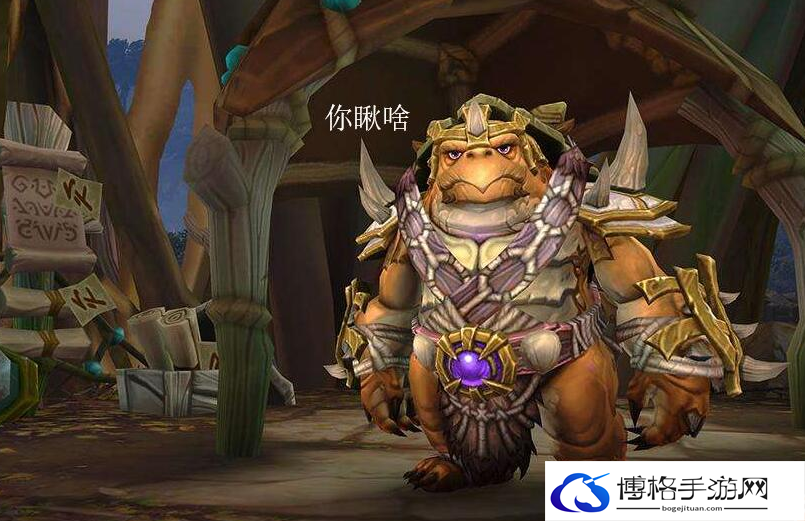 魔兽世界乌龟服职业推荐