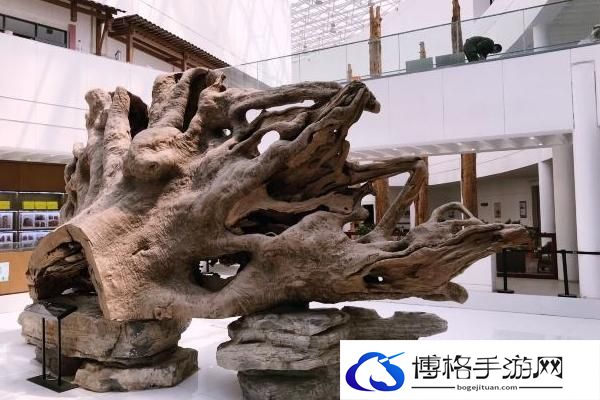 2024上海木文化博物馆门票价格