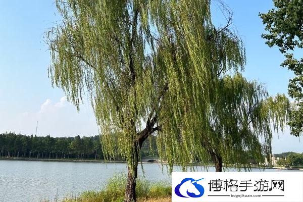 2024上海月湖雕塑公园门票多少钱