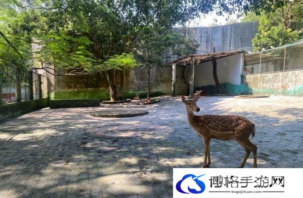 揭西京明度假村门票多少钱2024