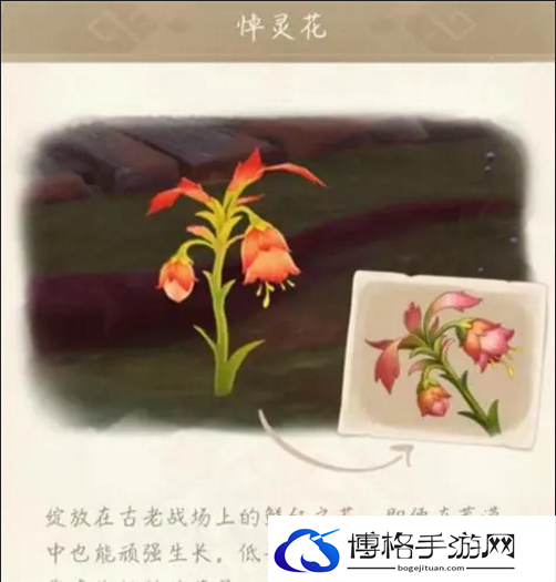 原神3.6悼灵花多久才能刷新一次-3.6悼灵花刷新时间机制分享