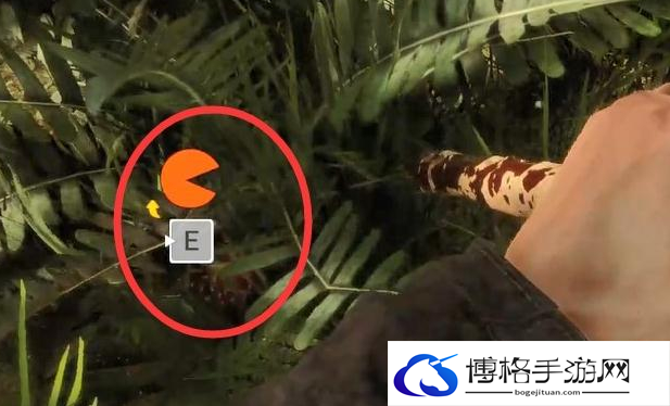 森林之子辨别果子有没有毒方法分享