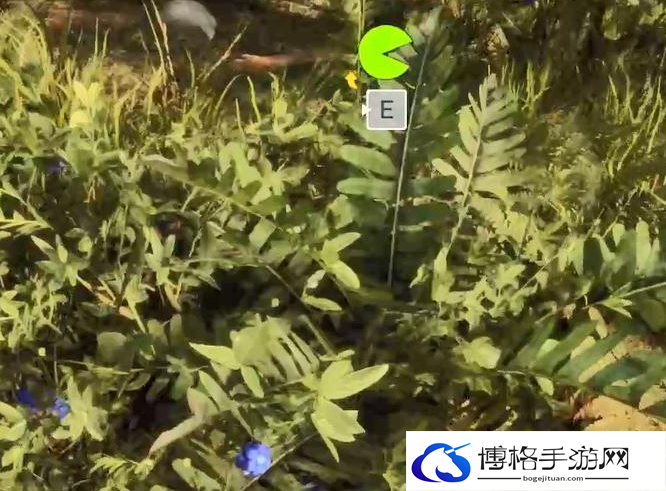 森林之子如何辨别果子有没有毒-辨别果子有没有毒方法分享