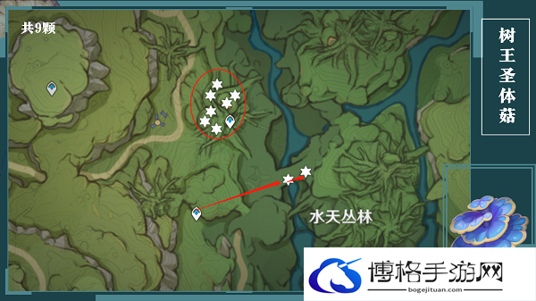 原神树王圣体菇采集路线
