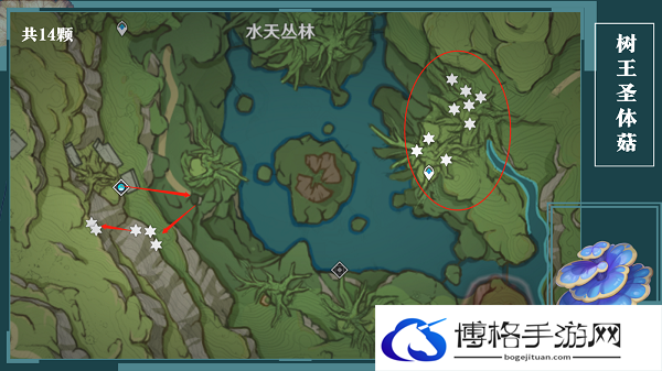 原神树王圣体菇采集路线
