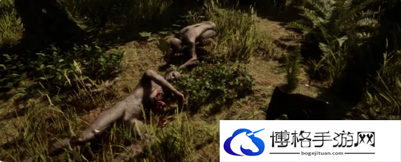 森林之子会更新什么内容