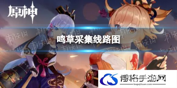 原神2.8鸣草收集路线 鸣草采集线路图