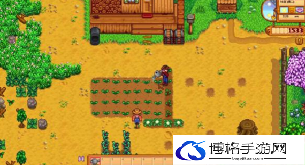 星露谷物语秋天种什么值钱