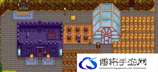 星露谷物语秋天种什么值钱