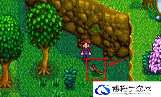 星露谷物语罗宾的斧子在哪里