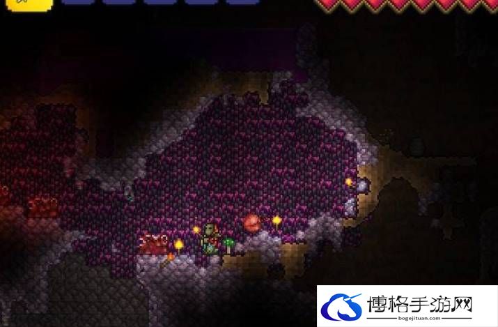 泰拉瑞亚肉山后新三矿怎么挖