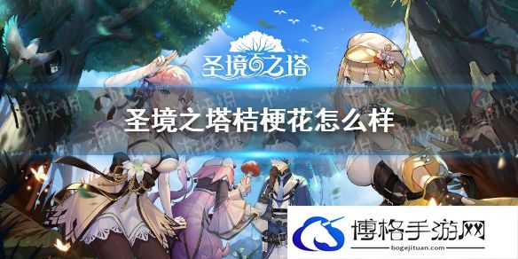圣境之塔桔梗花怎么样 圣境之塔桔梗花介绍