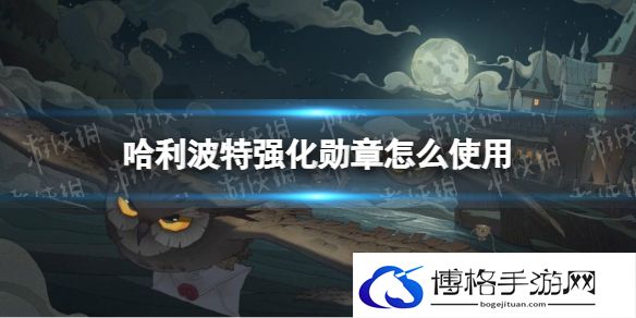 哈利波特强化勋章怎么使用 哈利波特新道具强化勋章使用方法介绍
