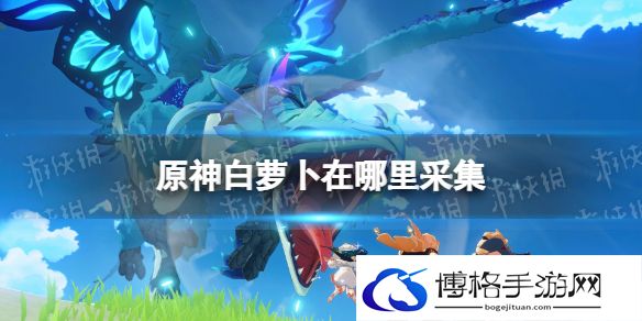 原神白萝卜在哪 原神百货奇货白萝卜采集点