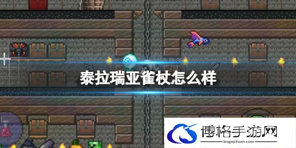 泰拉瑞亚雀杖怎么样 泰拉瑞亚雀杖武器介绍